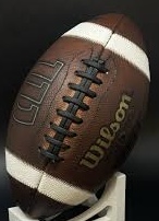 Fully prepped Wilson GST youth size football